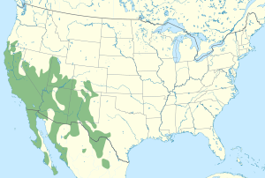 Thomomys bottae distribution map.svg