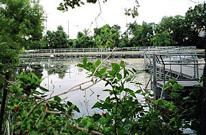 Wetlands boardwalk