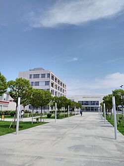 Çankaya University Promenade