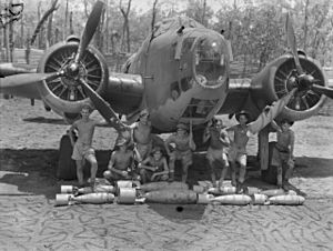 2 Squadron RAAF Hudson and personnel Batchelor N.T. Oct 1942 AWM 027611