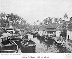 59Cochin Canal