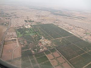 Aéroport de Marrakech 032