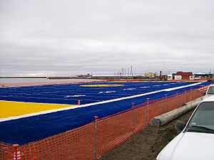 Barrow-Whalers-turf-field