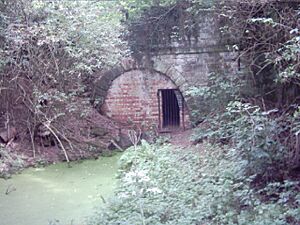 Berwick tunnel, the Shrewsbury canal - geograph.org.uk - 81562