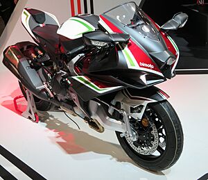 Bimota Tesi H2 (2020)