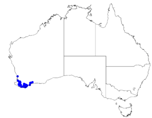 Boronia nematophylla DistMap80.png