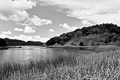 Briones reservoir California 40