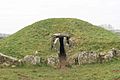 BrynCelliDdu3