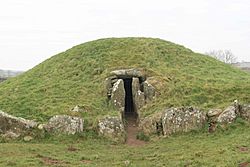 BrynCelliDdu3