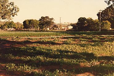 CSIRO ScienceImage 10573 Aboriginal health 8.jpg