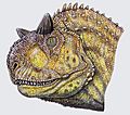 Carnotaurus head