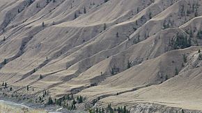 ChurnCreekGrasslands