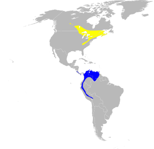 Dendroica fusca map.svg