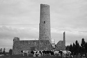 Dysert-Aenghusa Round Tower Croom