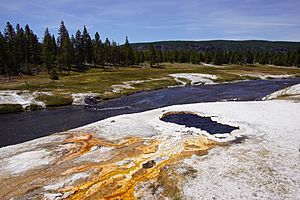 Firehole river near south scalloped spring.jpg