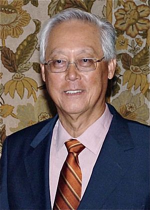 Goh Chok Tong 20080328.jpg