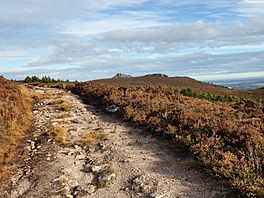 Gordon Way (geograph 5807722).jpg