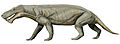 Gorgonops whaitsii1