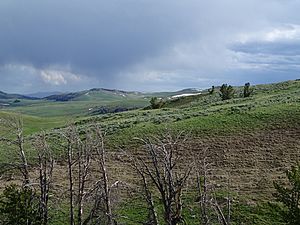 Gravelly Range Montana Landscapes 15