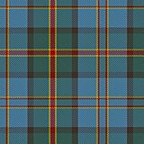 Hawaii state tartan, lightened.jpg