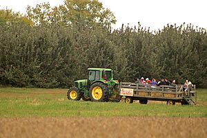 Hayride at Battleview Orchards