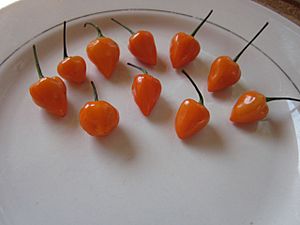 Kambuzi Chili Pepper.jpg