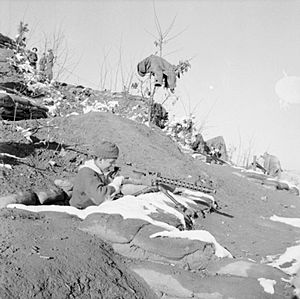 King's Regiment, Korea 1952