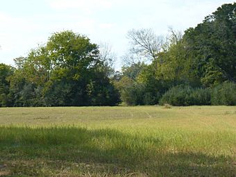 Liddell Archeological Site 003.JPG