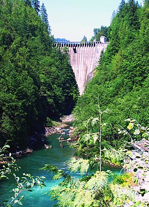 Lower baker dam