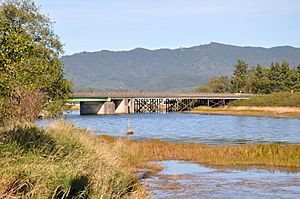 Lower tillamook river.jpg