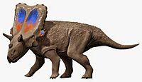 Mercuriceratops NT small.jpg