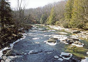 Middle Fork River Audra.jpg