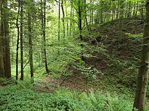 Miserden Castle ditch 2