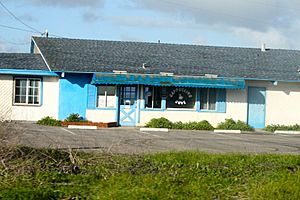 Piedras Blancas Motel 2010