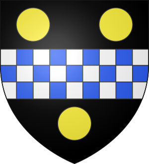 Pitt arms