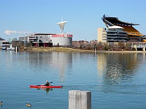 Pittsburgh Point Park Punter 3