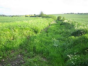 River Beane near Aston - geograph.org.uk - 172067