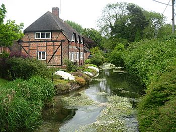 River Lambourn, East Garston, Berkshire.jpg