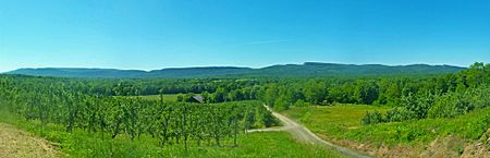 Shawangunk Ridge from NY 208 S of New Paltz