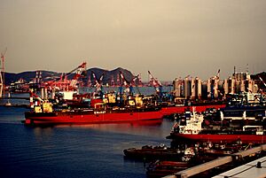 Ships in Busan