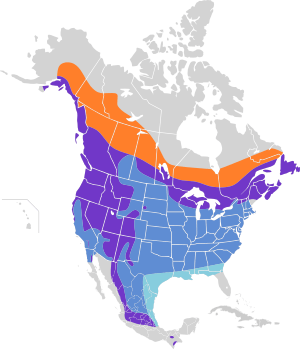 Spinus pinus map.svg