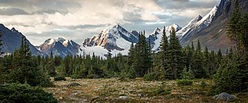 Sunrise in Tonquin Valley.jpg