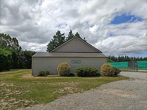 View of Swannanoa Hall across the road from the primary school