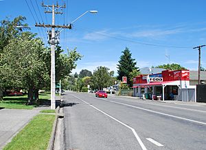 Waiau Lyndon Street