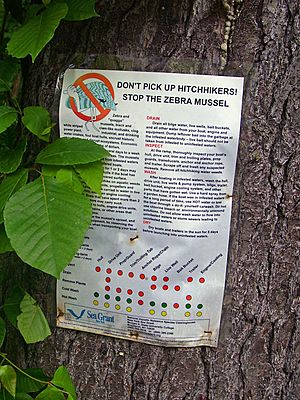 Zebra mussel warning sign