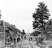 1000 Mile Tree Weber Canyon 1869