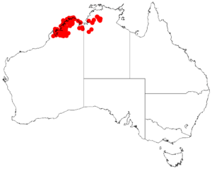 Acacia stigmatophyllaDistMap855.png