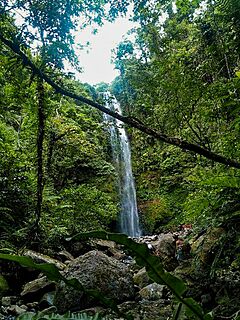 Balang Falls of Mt. Isarog