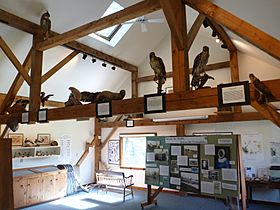 Bartholomew Cobble Visitor Center interior