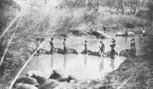 Batonga women